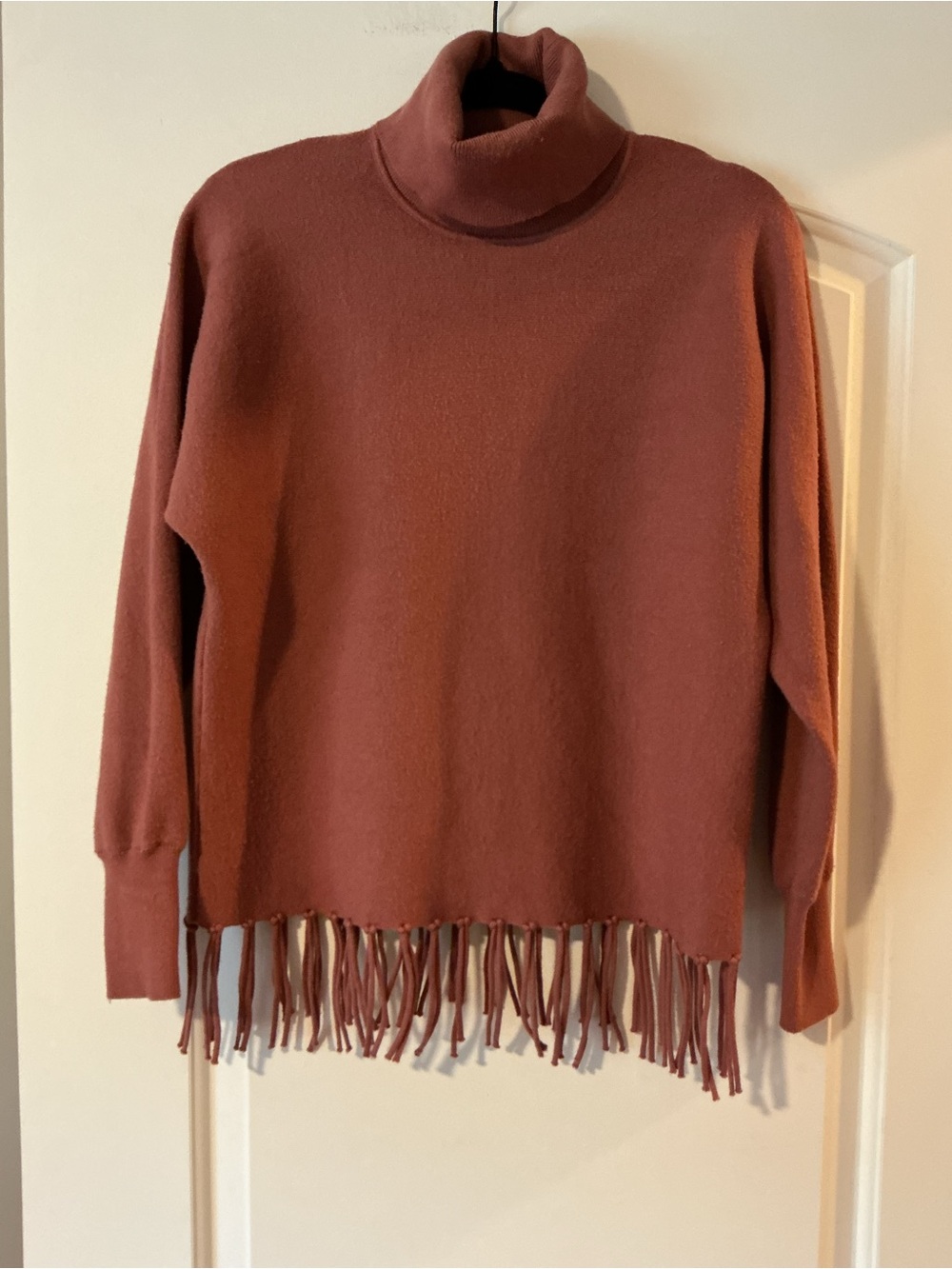 Fringed Turtleneck Sweater